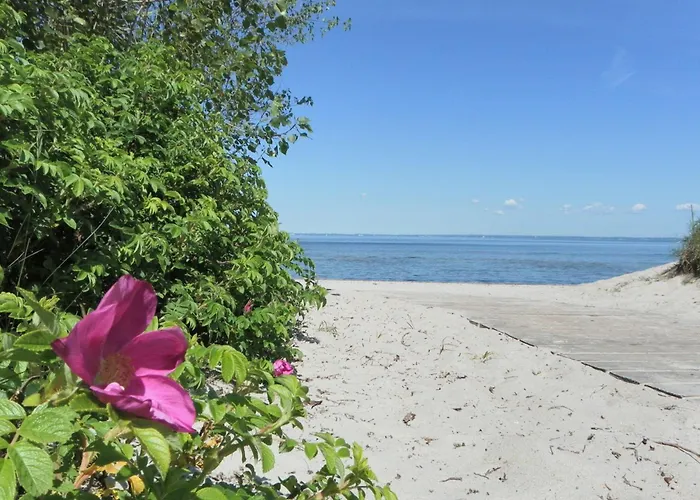 Naturidyll * Barendorf (Mecklenburg-Vorpommern)